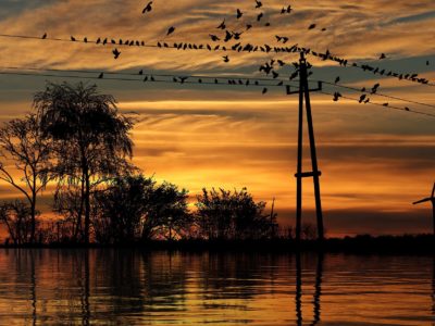 Gdzie w najbliższych dniach będą wyłączenia prądu