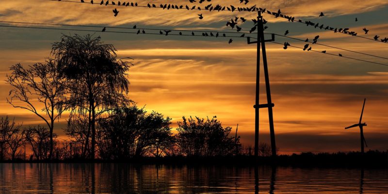 Gdzie w najbliższych dniach będą wyłączenia prądu