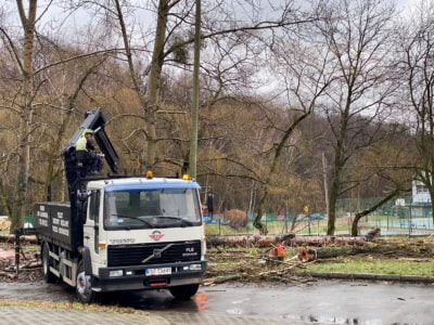 Wycinka drzew przy ulicy Reptowskiej w Bytomiu