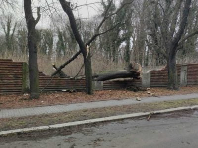 Bytom: Ile razy interweniowały służby podczas silnego wiatru w weekend?
