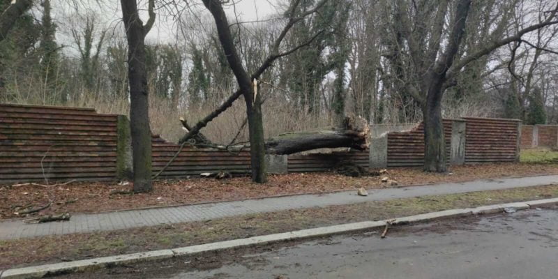 Bytom: Ile razy interweniowały służby podczas silnego wiatru w weekend?