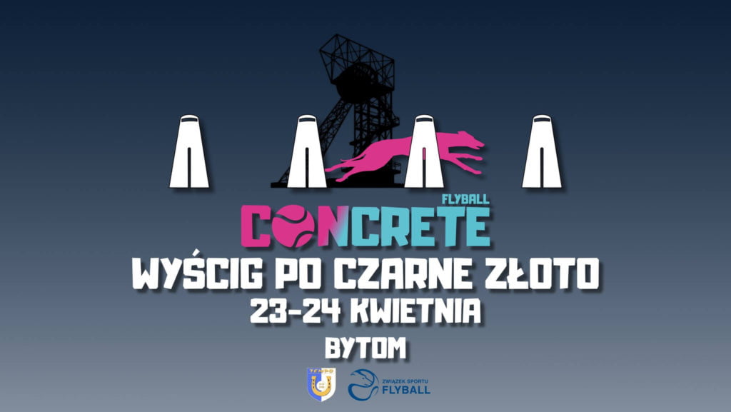 Zawody psich sztafet odbędą się w Bytomiu