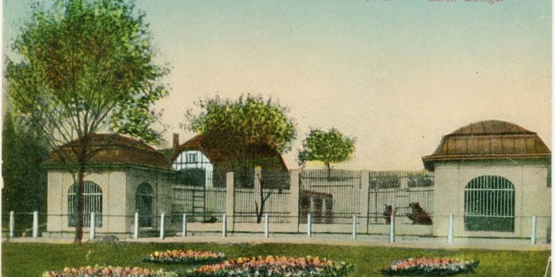 Wielki powrót „Misiów” do Parku Kachla w Bytomiu