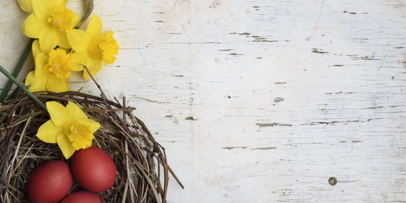 Wielka Sobota – 16 kwietnia