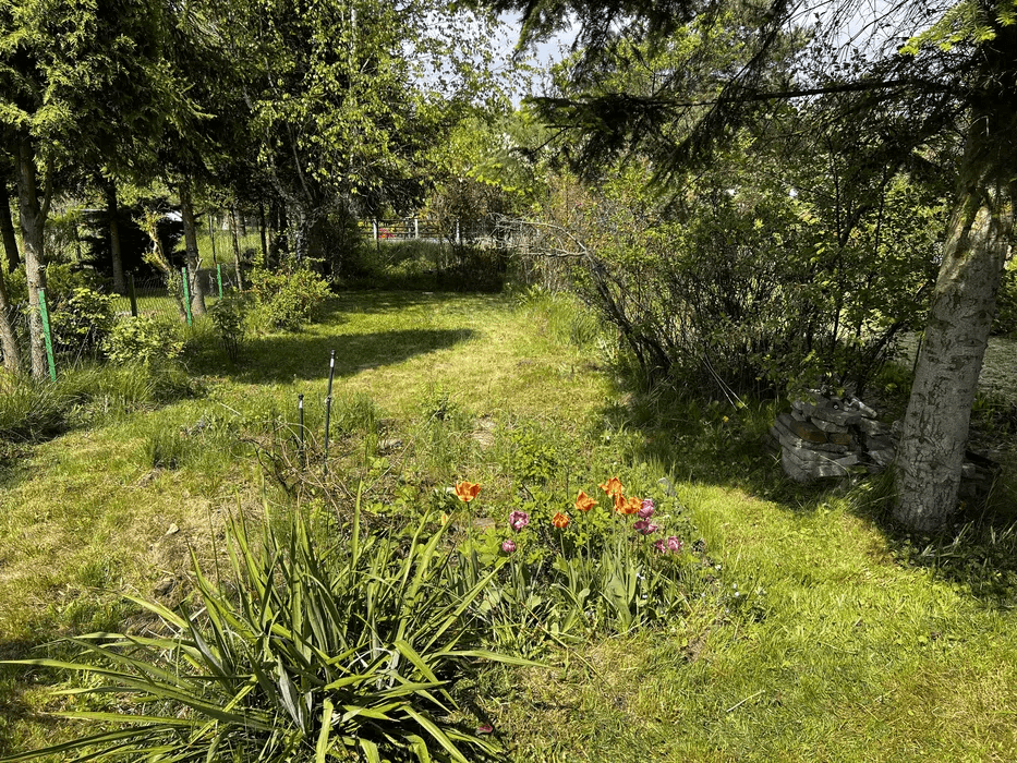 Bytom: Ogródki działkowe na sprzedaż w maju