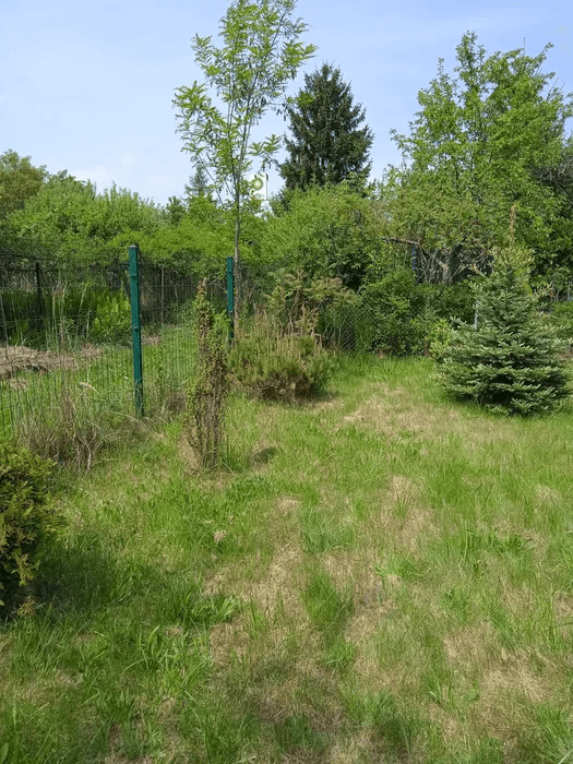 Bytom: Ogródki działkowe na sprzedaż w maju