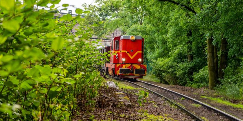Wąskotorówka wraca na bytomskie tory