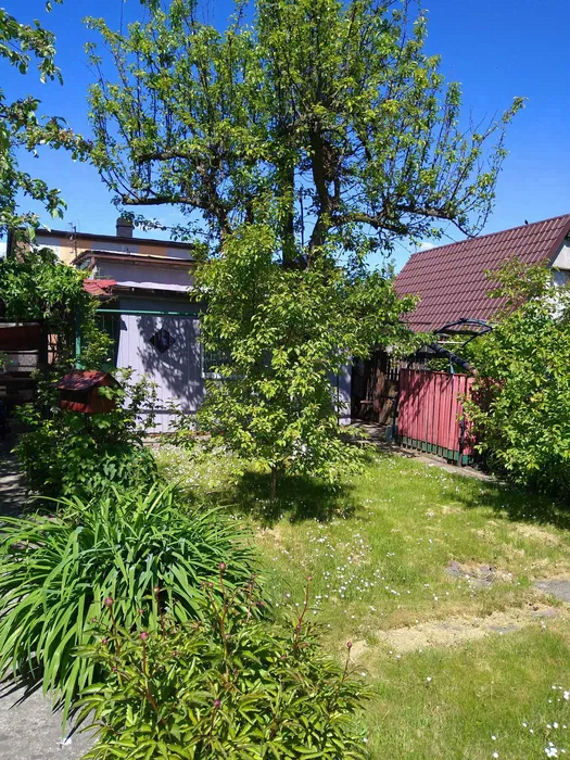 Bytom: Ogródki działkowe do kupienia w czerwcu