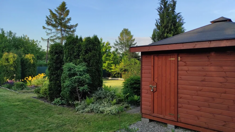 Bytom: Ogródki działkowe do kupienia w czerwcu