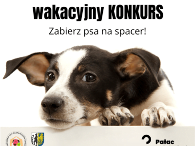 Wakacyjna akcja Schroniska w Miechowicach