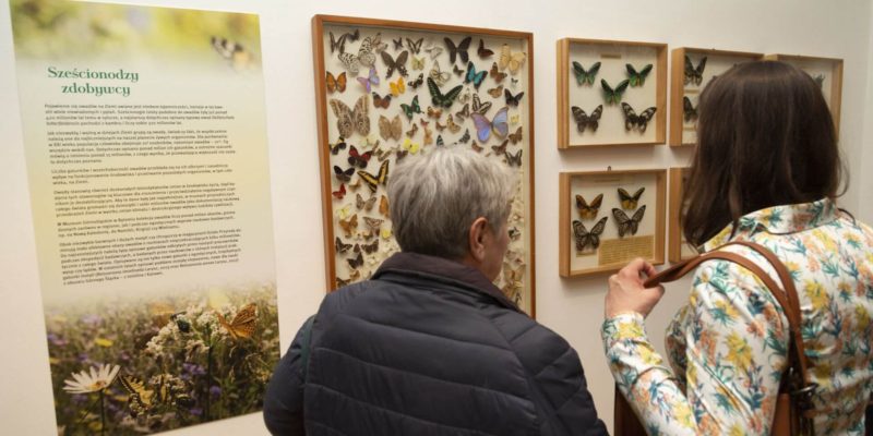 Zobacz wystawę Muzeum Górnośląskiego „Od Darwina do banku DNA. Przyroda w Muzeum”