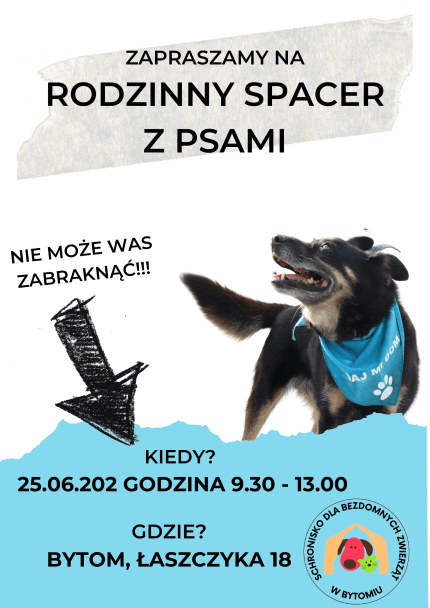 Spacer z psami w Schronisku w Bytomiu