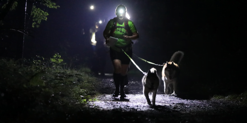 Puchar Polski w Dogtrekkingu w Parku Śląskim
