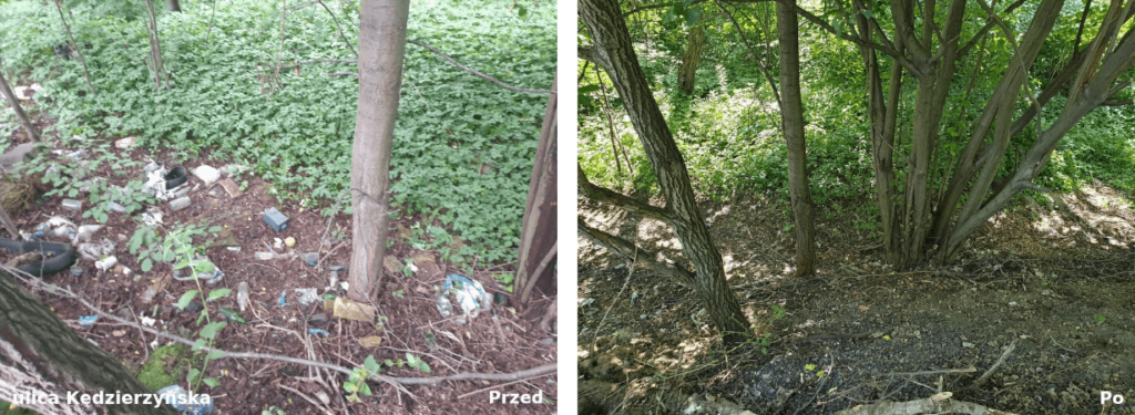 MZDiM zlikwidował kolejne wysypiska śmieci w Bytomiu