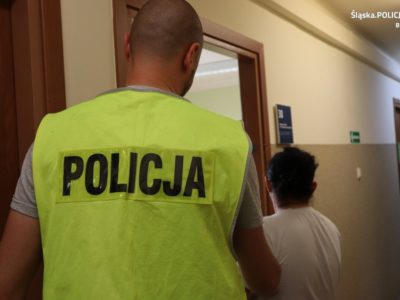 Bytomianka odpowie za oszustwa przy sprzedaży szczeniąt