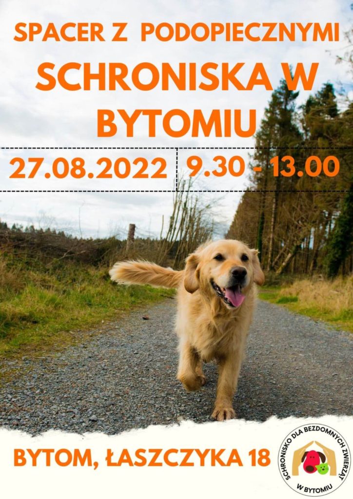 Spacer z podopiecznymi schroniska w Bytomiu