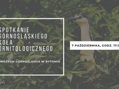 Spotkanie Górnośląskiego Koła Ornitologicznego w Muzeum Górnośląskim