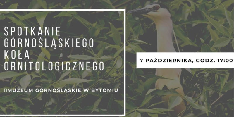 Spotkanie Górnośląskiego Koła Ornitologicznego w Muzeum Górnośląskim